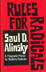 Rules for Radicals cover